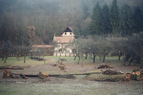 20180_251413181549_540371549_4801330_758118_n