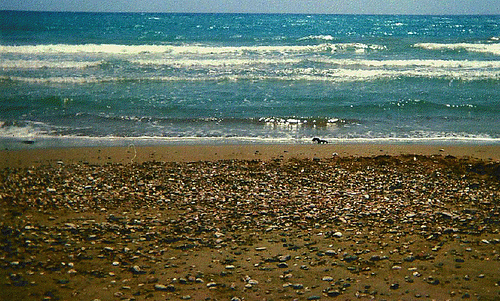 Screen shot 2011-06-21 at 10.13.30