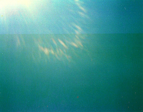 Screen shot 2011-06-21 at 10.13.46