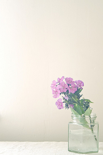 4472987444_bbbbb849a5_z