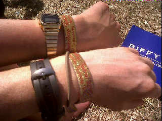 IMG00061-20100626-1411