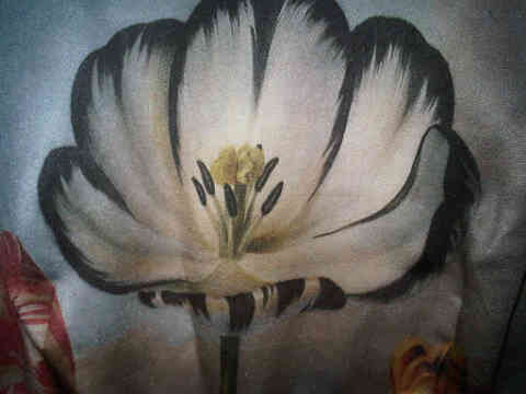 IMG00026-20100803-1744