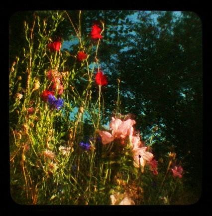 2853330481_7201f0587e