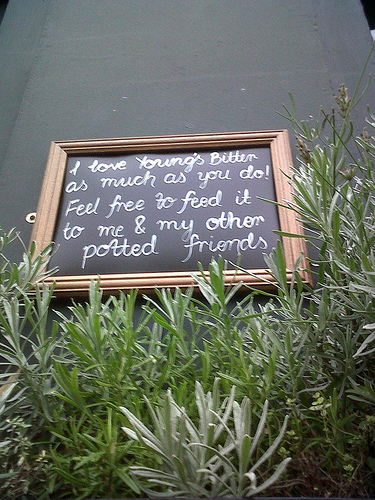 IMG00323-20100928-1711