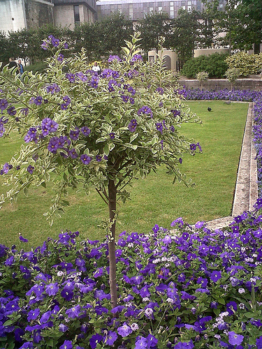 IMG00232-20100808-1631-1