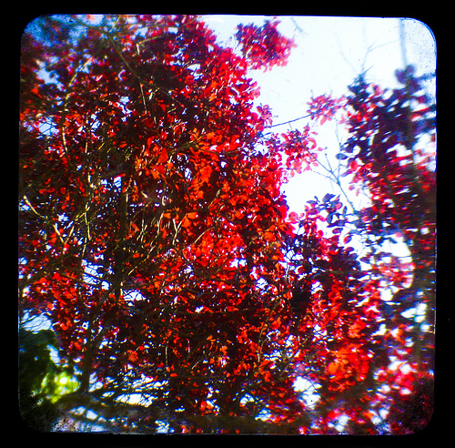 3534687996_93076f709a_b