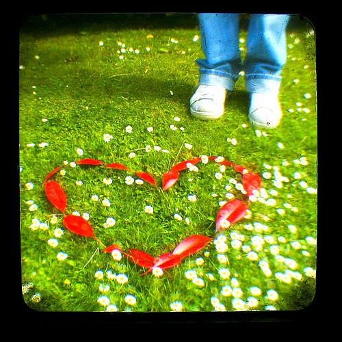 3535107763_52ec34d36a_z