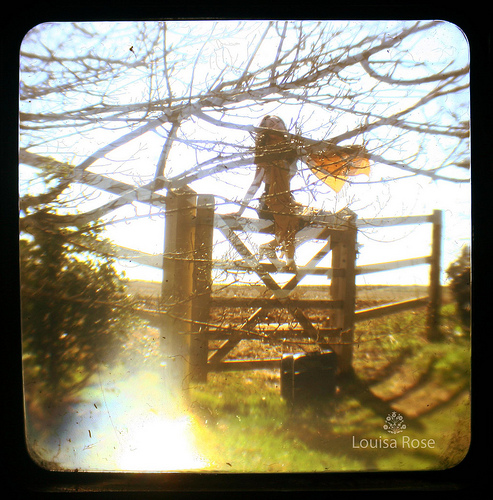 4520543520_43f4d151b1_b