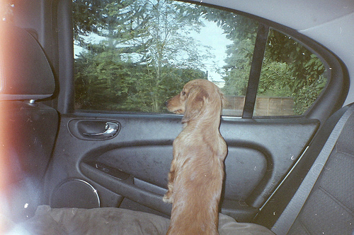 home .....but i want to stay at easterly