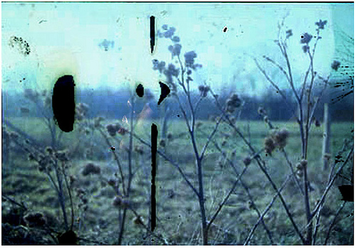 Screen shot 2011-04-26 at 19.00.32