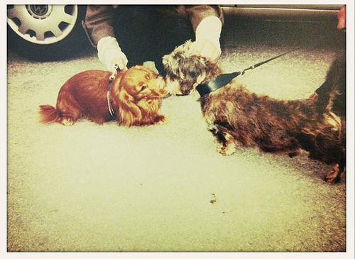 Screen shot 2011-04-26 at 20.50.07