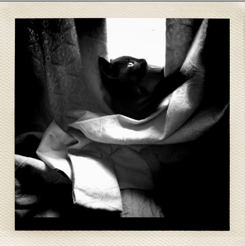 Screen shot 2011-01-30 at 22.19.37