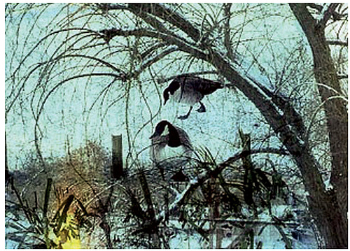 Screen shot 2011-04-26 at 19.01.44