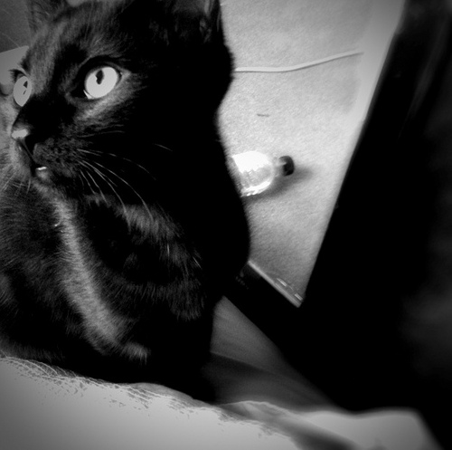 Screen shot 2011-01-30 at 22.19.47