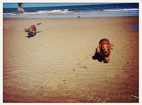 Screen shot 2011-08-26 at 22.43.52