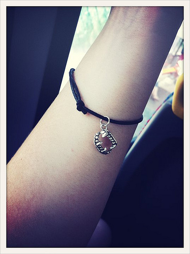 281786_2056559048696_1086181674_32215920_2447709_n