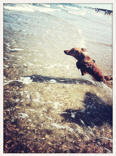 Screen shot 2011-08-26 at 22.43.59