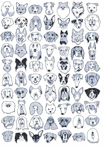 Screen shot 2011-10-21 at 11.01.21